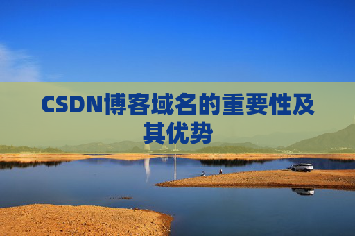 CSDN博客域名的重要性及其优势
